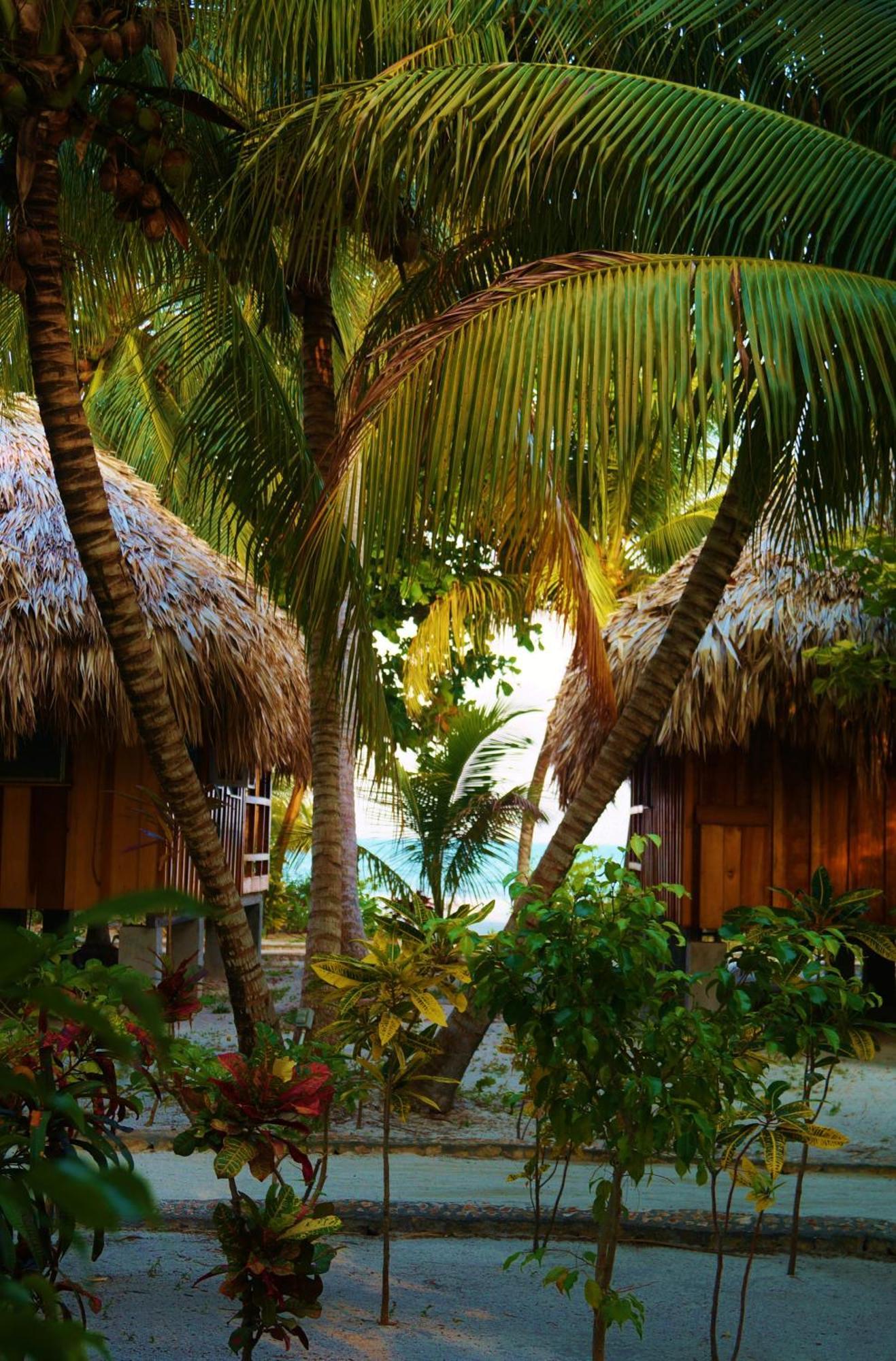 St. George'S Caye Resort Беліз Номер фото